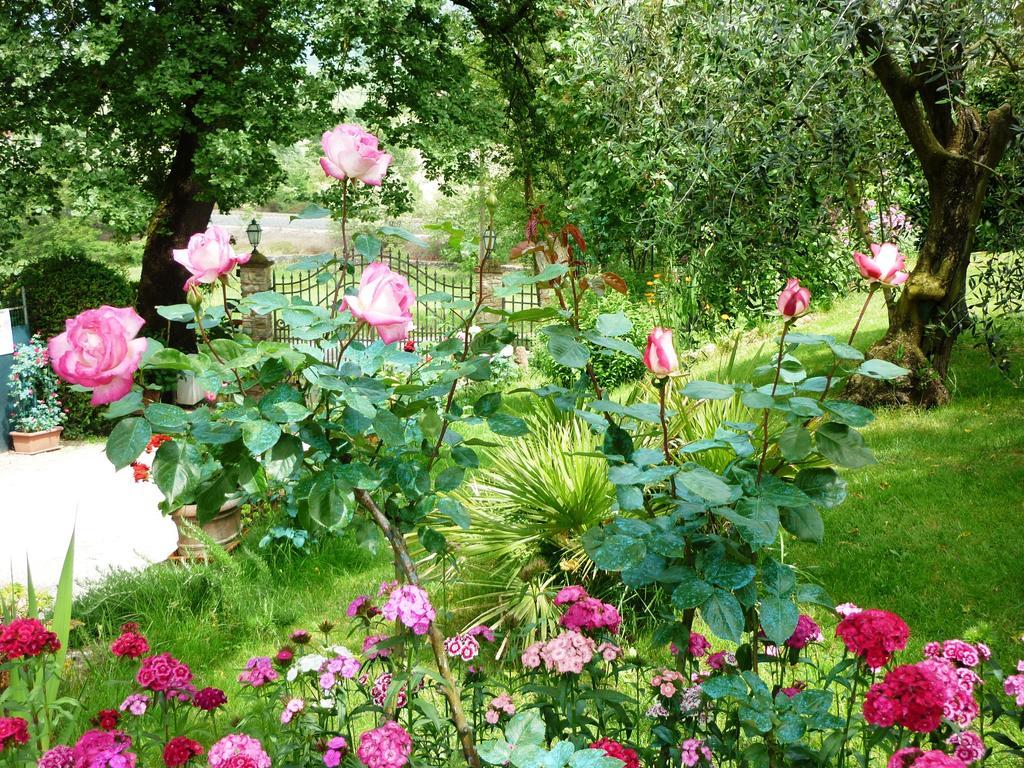 B&B Casale Ginette Incisa in Val d'Arno ภายนอก รูปภาพ